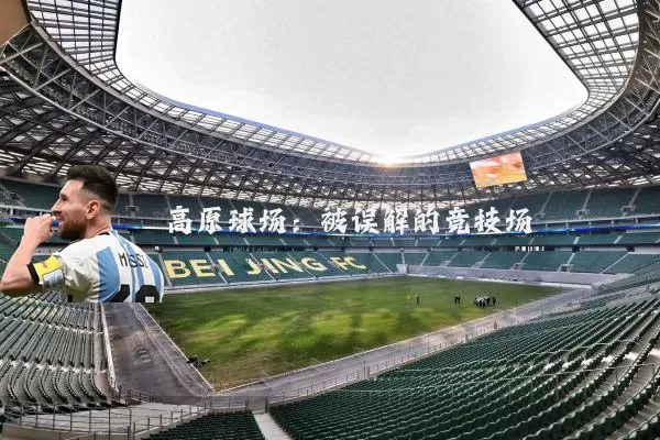 高原球场:被误解的竞技场