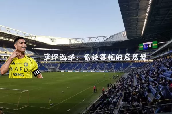 草坪选择：竞技真相的底层博弈